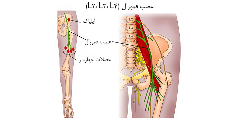 خالی کردن زانو هنگام برخاستن 