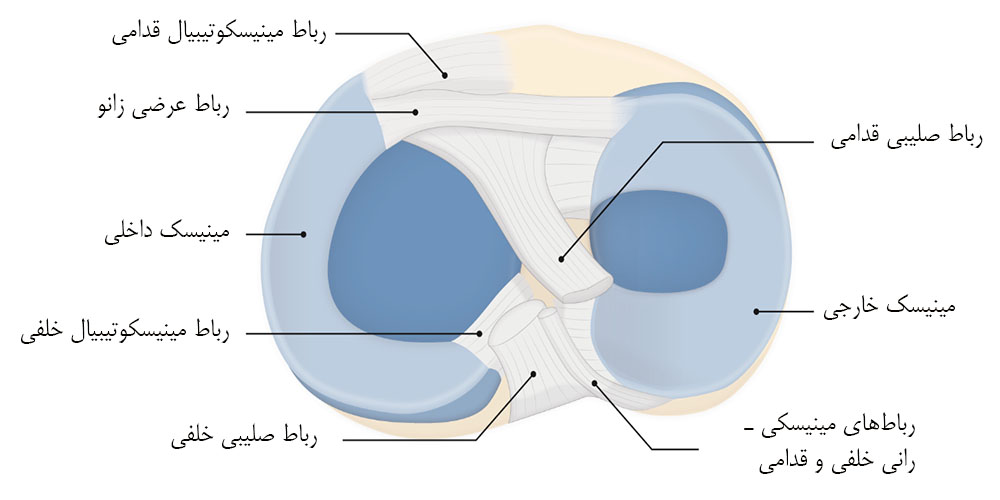 علائم پارگی مینیسک زانو در بزرگسالان 